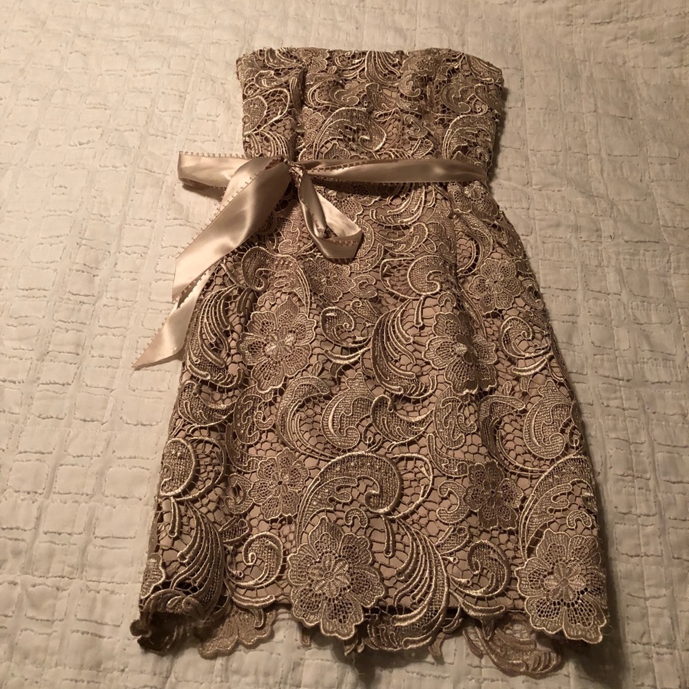 Cache nude lace dress strapless